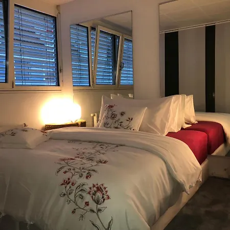 Apartmán One Night